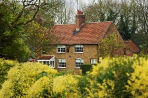Sherwood forest Cottage