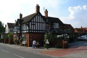 wellow_DurhamOx wellow_DurhamOx