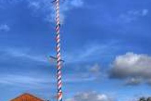 wellow_maypole7 wellow_maypole7